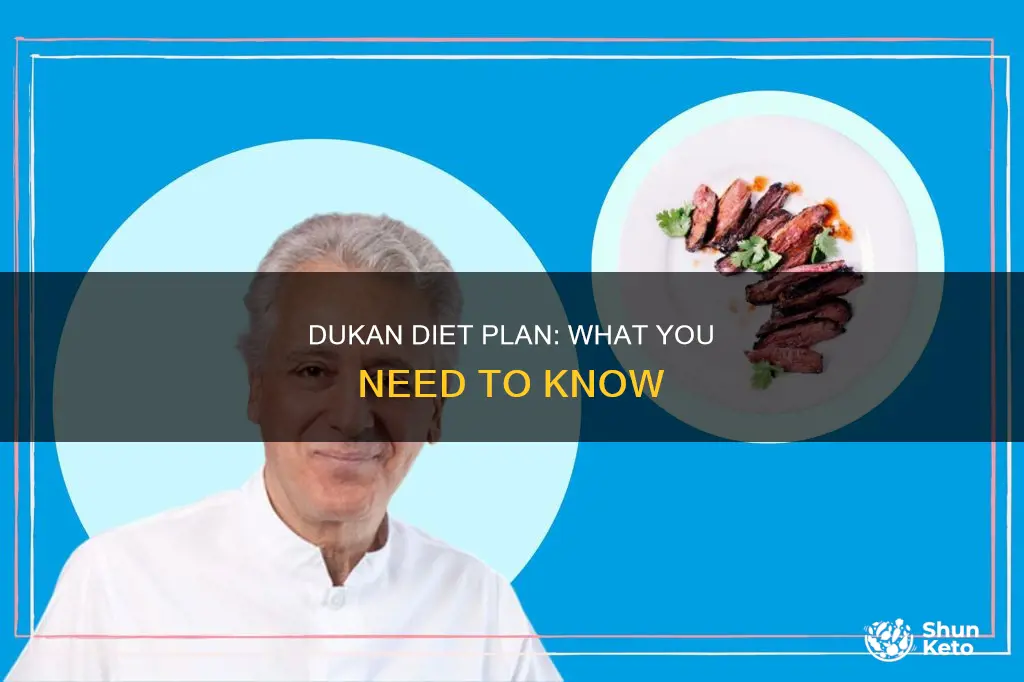 what is the dukan diet plan