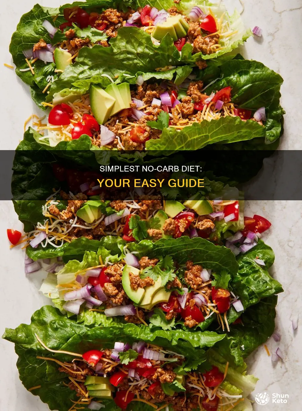 what is the easiest no carb diet