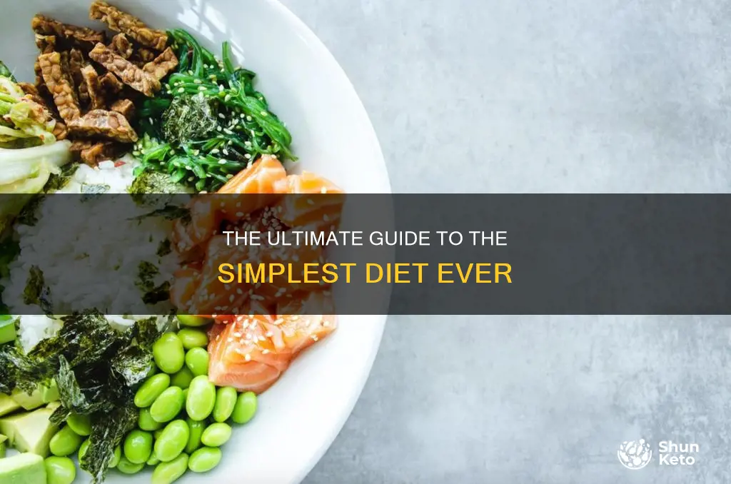 what is the easiest type of diet