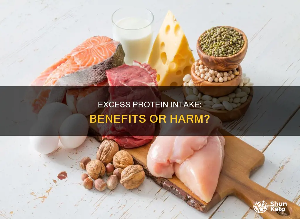 what is the effect of excess protein in the diet