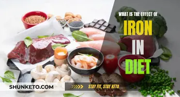 Iron Intake: Its Impact on Health and Wellbeing