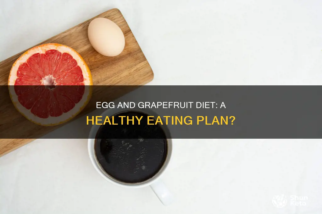 what is the egg and grapefruit diet plan