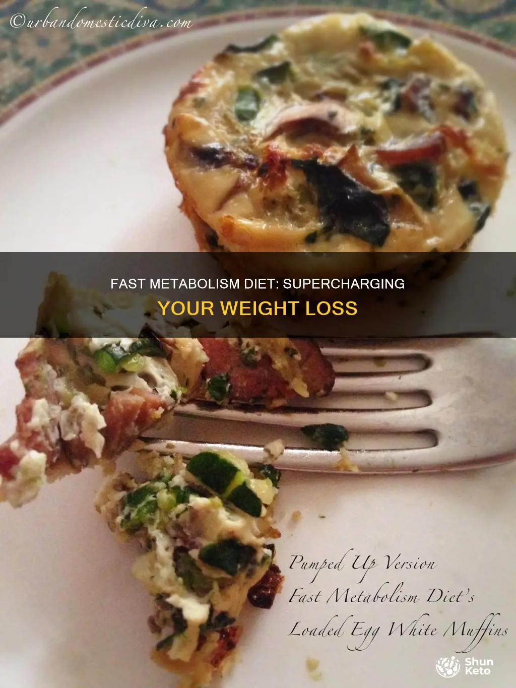 what is the fast metabolism diet