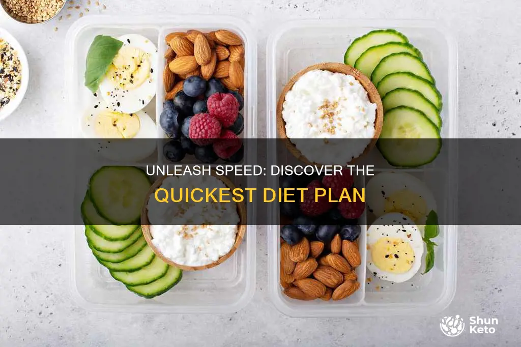 what is the fastest diet plan