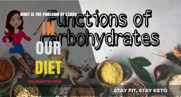 Carbs: Energy Source and Brain Fuel