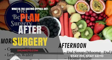 Post-Surgery Diet: Navigating the Gastric Bypass Journey