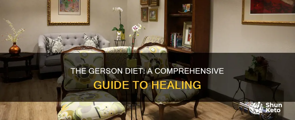 what is the gerson diet plan