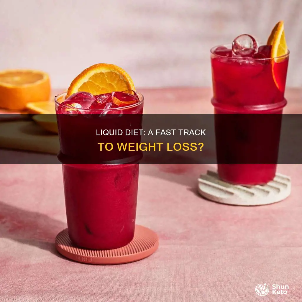 what is the goal of a full liquid diet