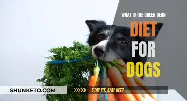 Green Bean Diet: Healthy Weight Loss for Dogs?