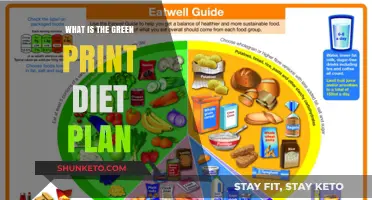 Unveiling the Green Print Diet: A Healthy Eating Guide