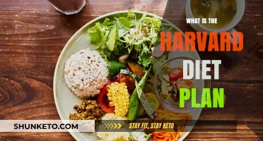 Unveiling the Harvard Diet Plan: A Comprehensive Guide