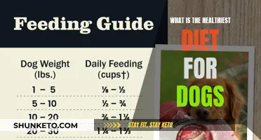 Dog Diet: What's the Healthiest Choice?