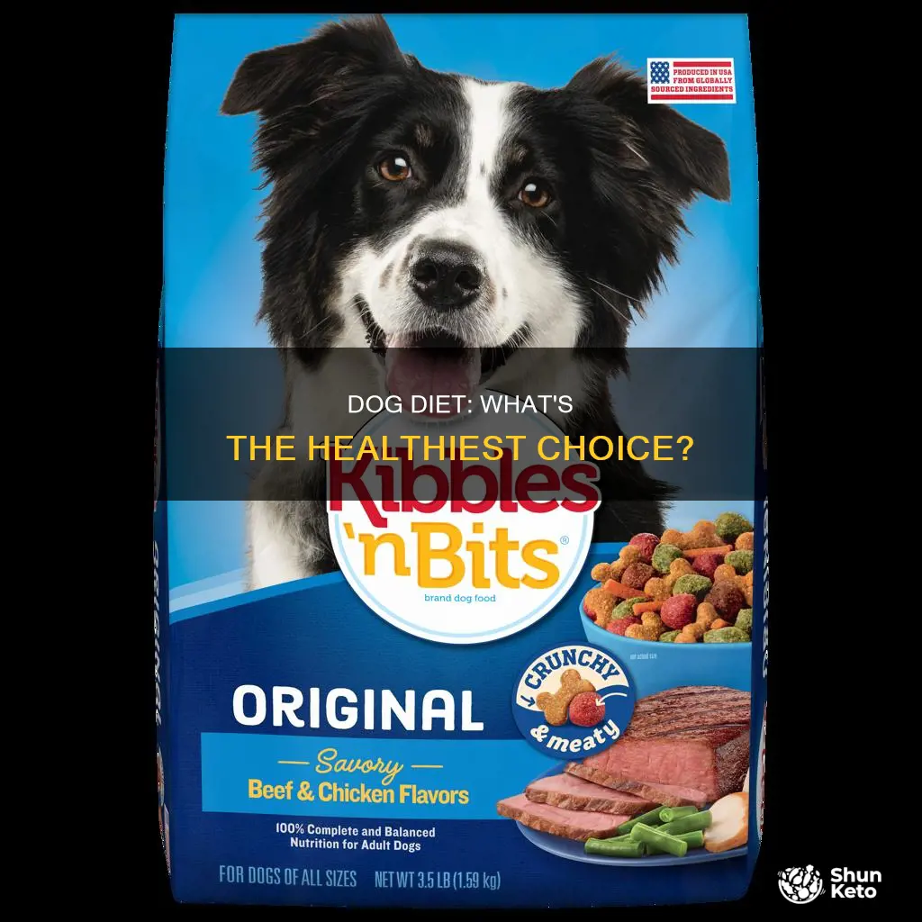 what is the healthiest diet for dogs
