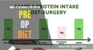 Best High-Protein Pre-Op Diet for Optimal Results