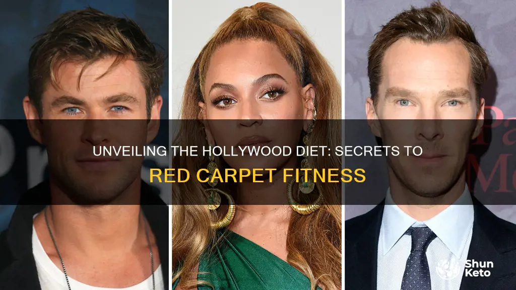 what is the hollywood diet plan