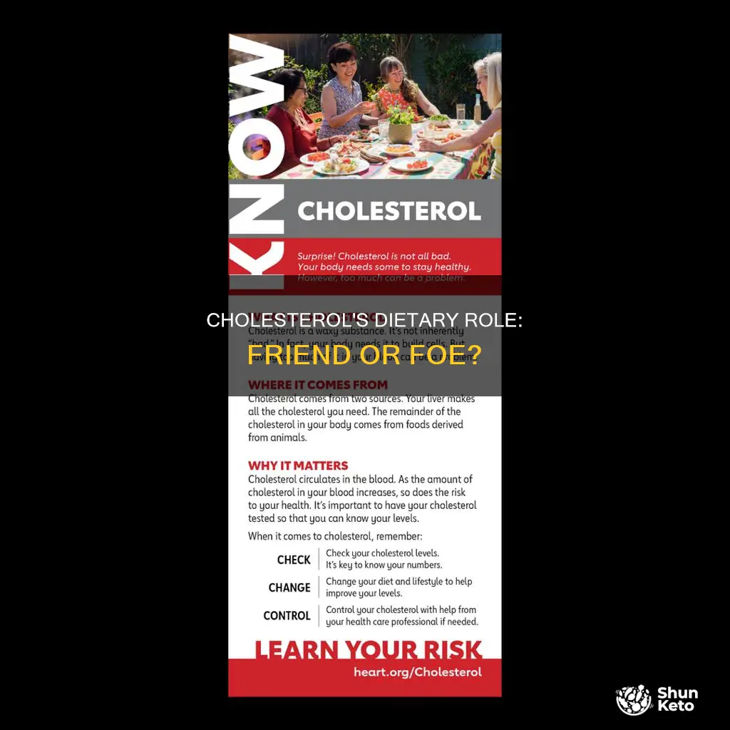 what is the importance of cholesterol in the diet