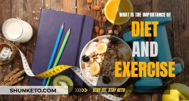 Healthy Habits: Diet and Exercise Essentials