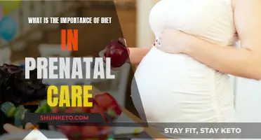 Prenatal Diet: Nurturing Your Baby's Health