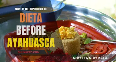 Ayahuasca Diet: Preparing Your Body for the Experience