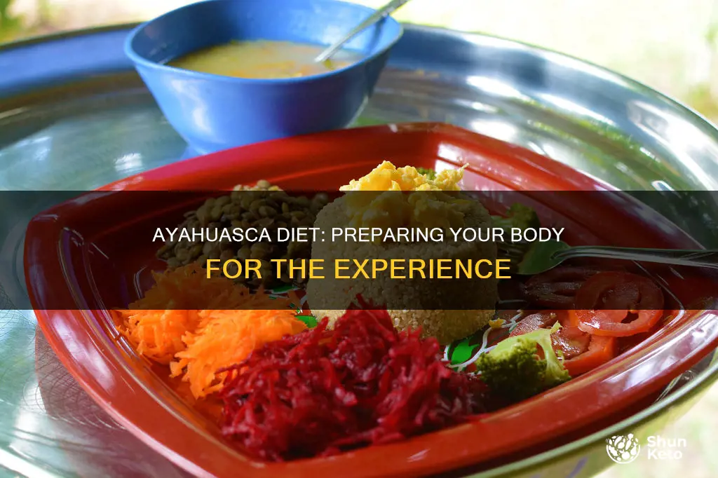 what is the importance of dieta before ayahuasca