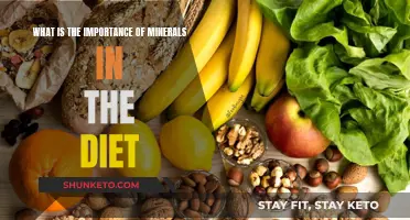 Mineral Magic: Why Your Diet Needs Them