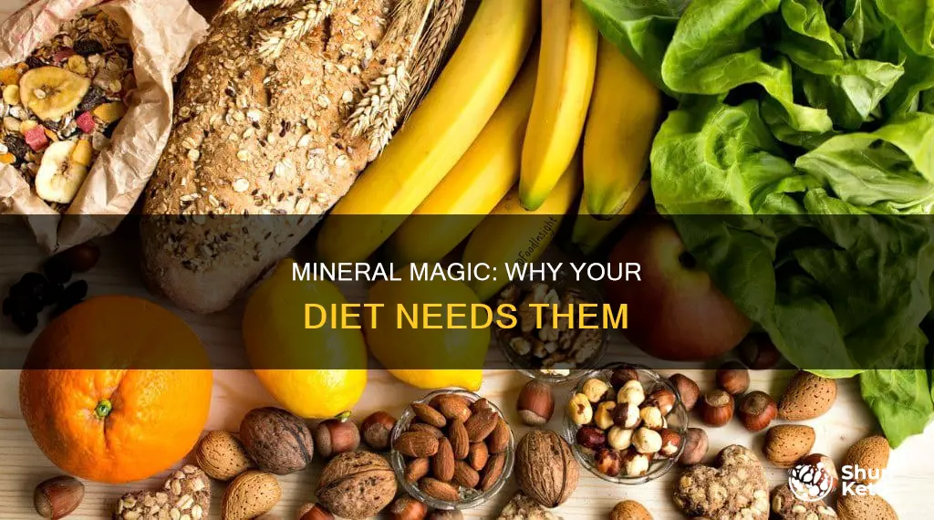 what is the importance of minerals in the diet