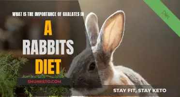 Oxalates: Essential or Harmful for Rabbits?