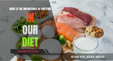 Proteins: Essential Dietary Building Blocks for Health