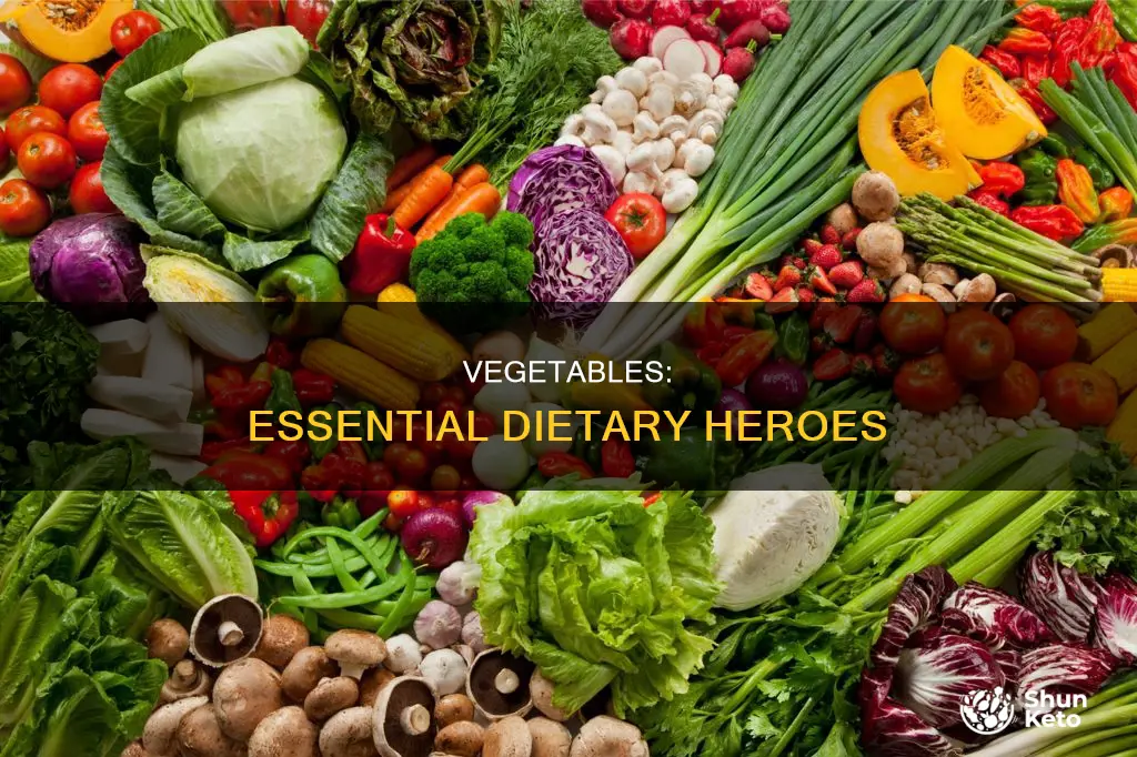 what is the importance of vegetables in our diet