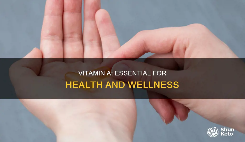 what is the importance of vitamin a in our diet