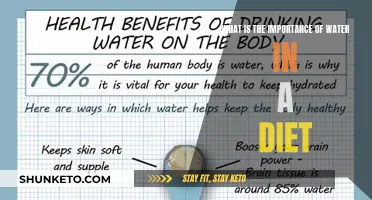 Hydration: Water's Role in a Healthy Diet