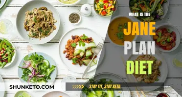 Unveiling the Jane Plan Diet: A Healthy Lifestyle Guide