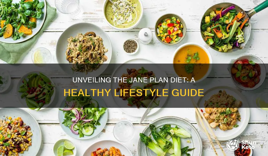 what is the jane plan diet