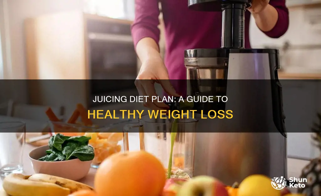 what is the juicing diet plan