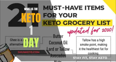 Understanding the Keto Diet: One-Day Plan Explained