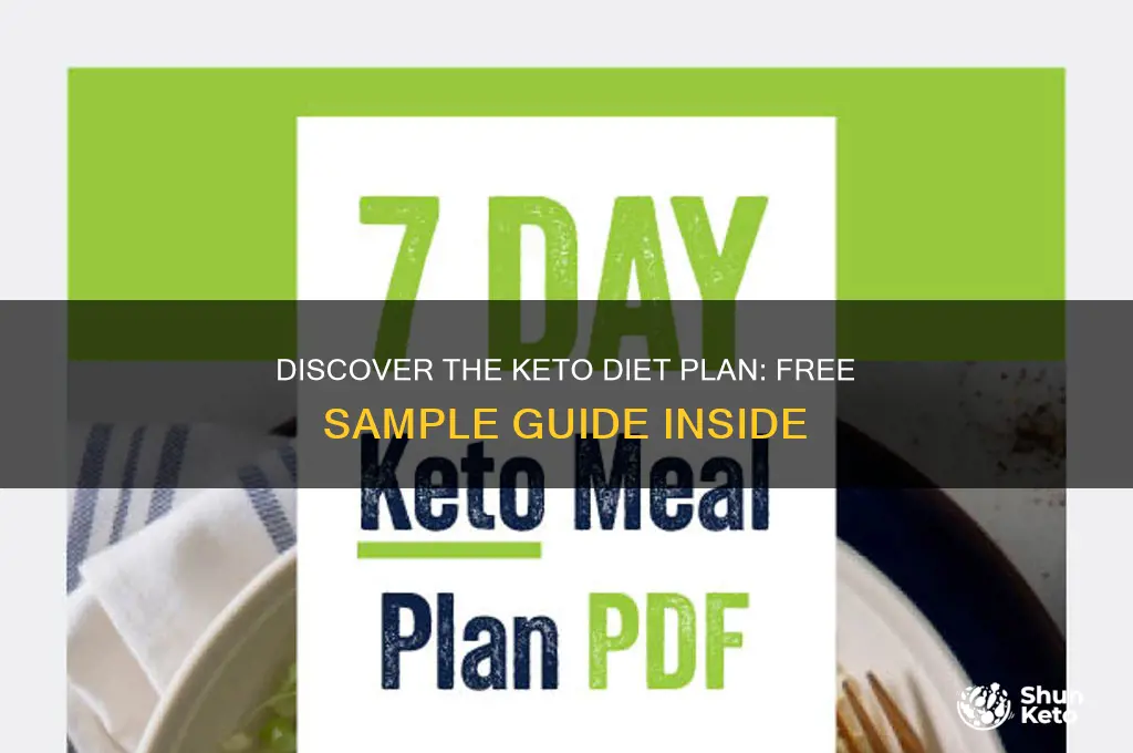 what is the keto diet plan like free sample