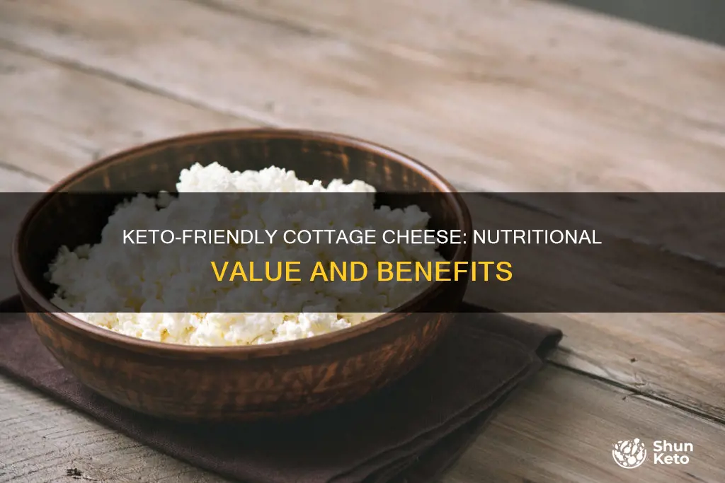 what is the keto value of cottage cheese