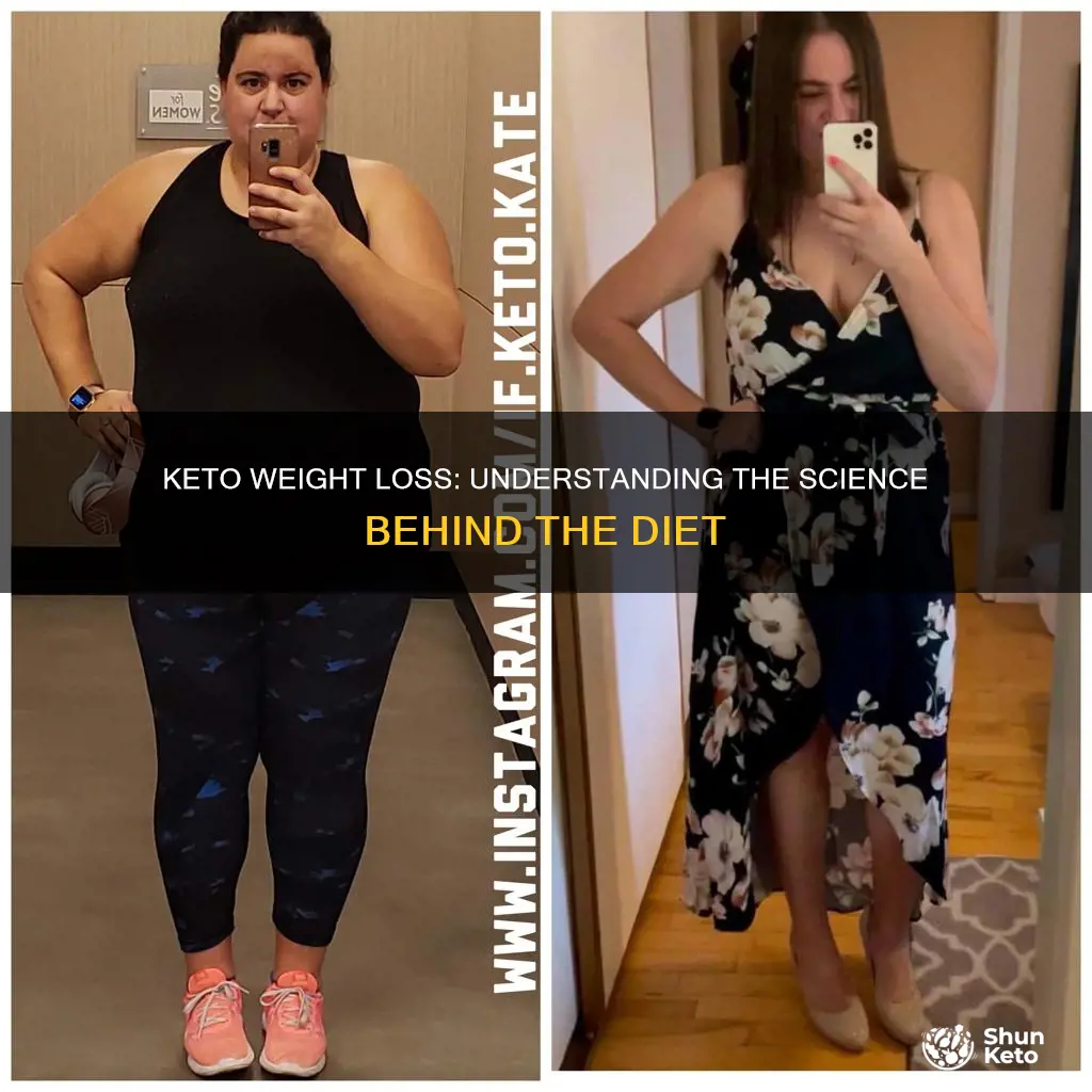 what is the keto weight loss program