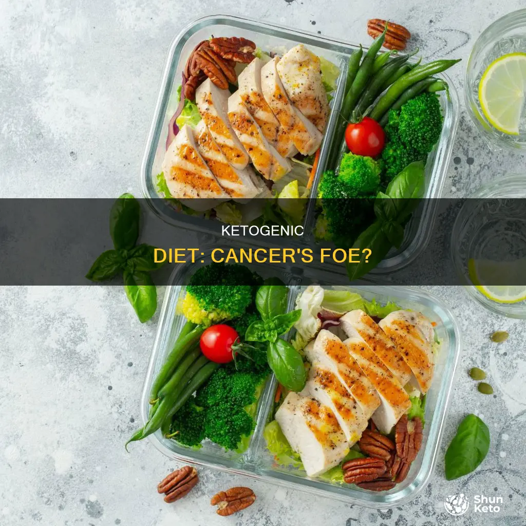 what is the ketogenic diet cancer