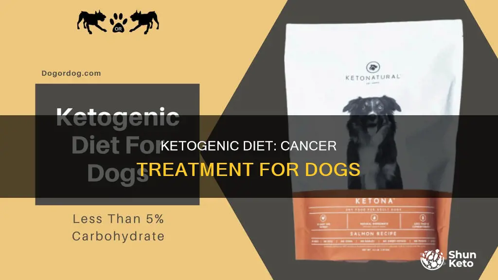 what is the ketogenic diet for dogs with cancer