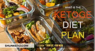 Ketogenic Diet Plan: Understanding the Basics of Keto