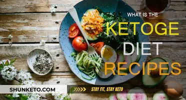 Ketogenic Diet Recipes: Your Ultimate Guide to Keto Success