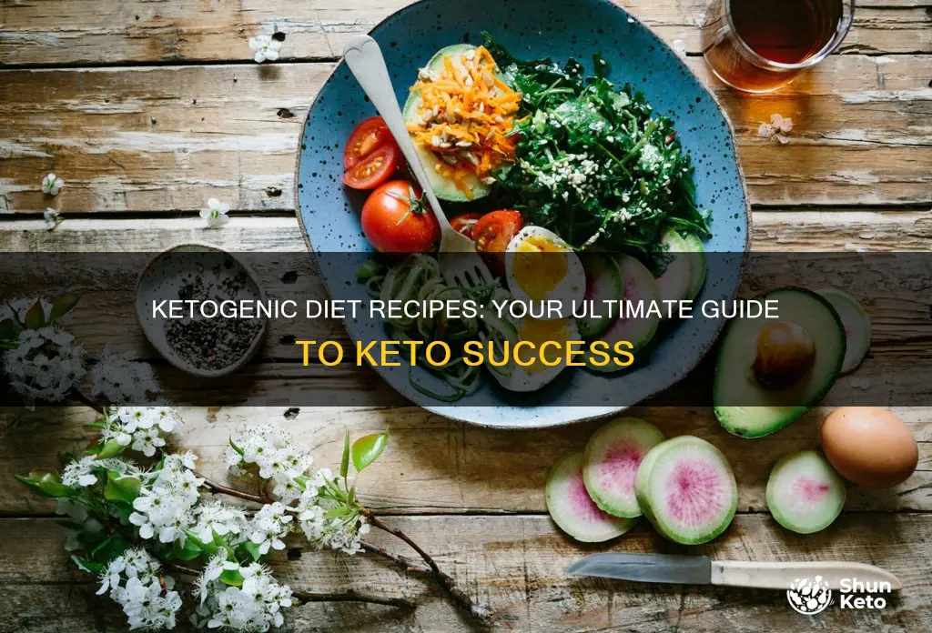 what is the ketogenic diet recipes