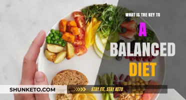 A Balanced Diet: Key to Healthy Living