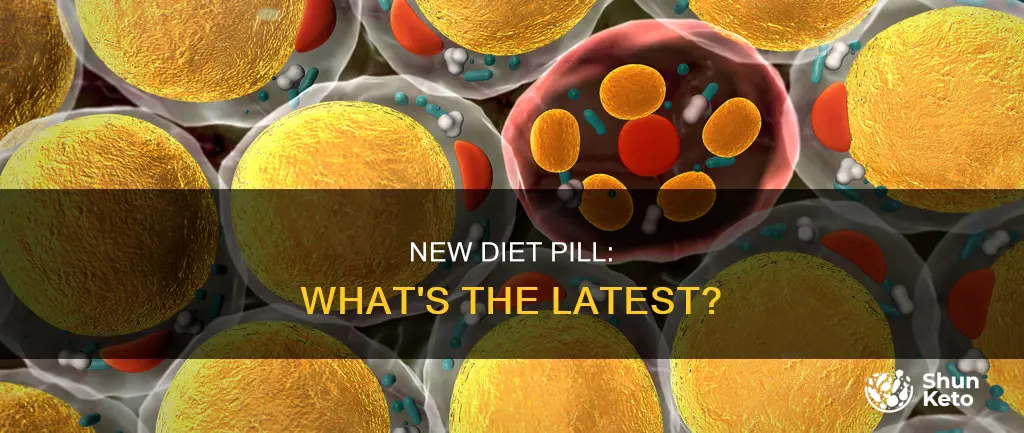 what is the lasteset new diet pill
