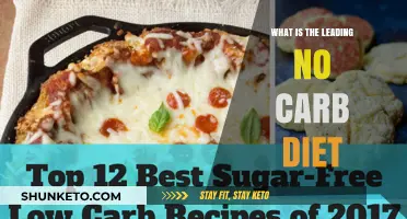 Best No-Carb Diet Options: What to Eat and Avoid
