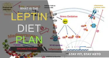 Unraveling the Leptin Diet: A Comprehensive Guide to Weight Loss