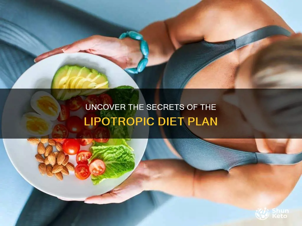 what is the lipotropic diet plan