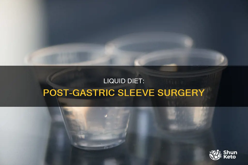 what is the liquid diet after gastric sleeve surgery