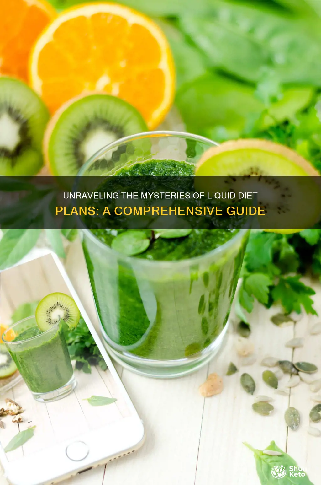 what is the liquid diet plan